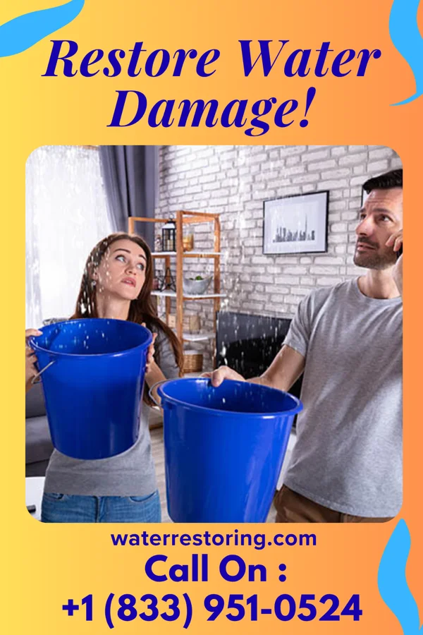 water restoration Capital Water Repair Hendrum