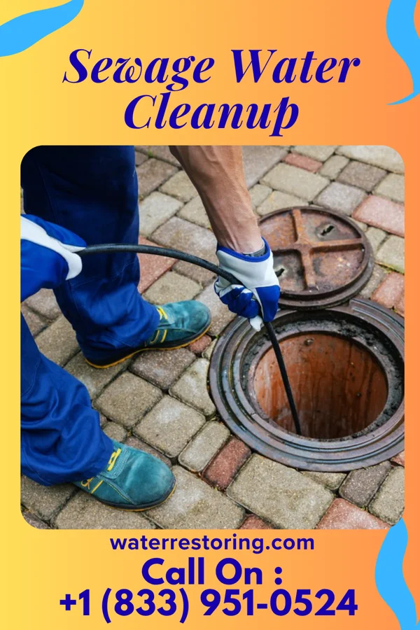 Sewage Water Cleanup in Hendrum, MN